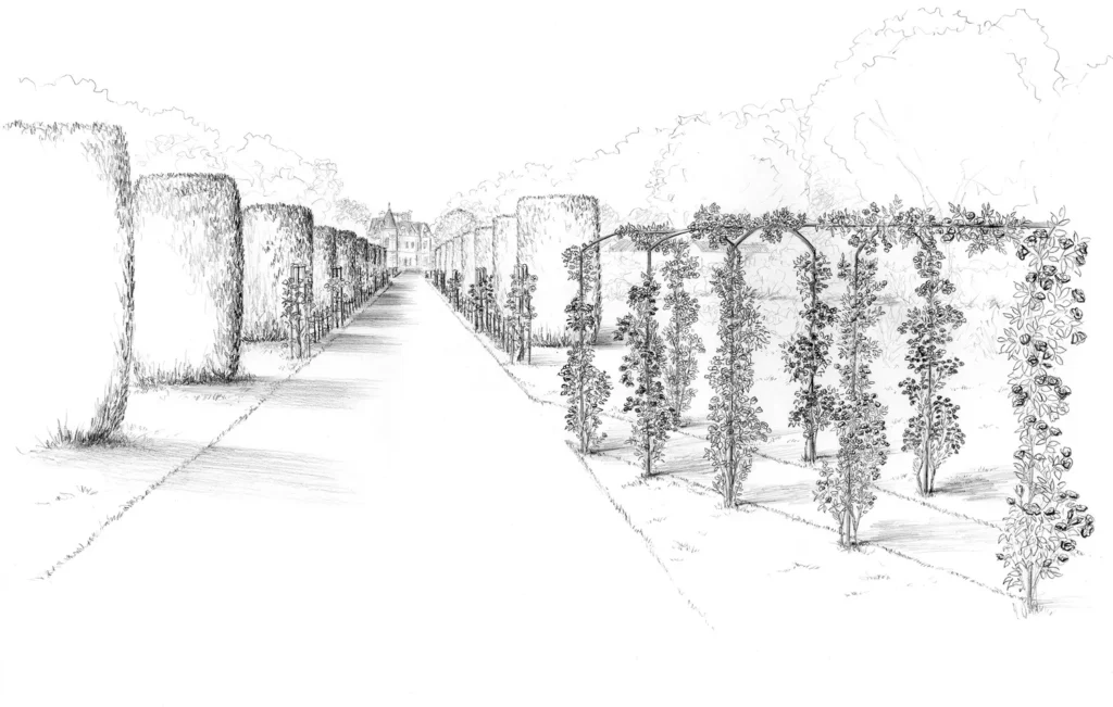 Allée 1
