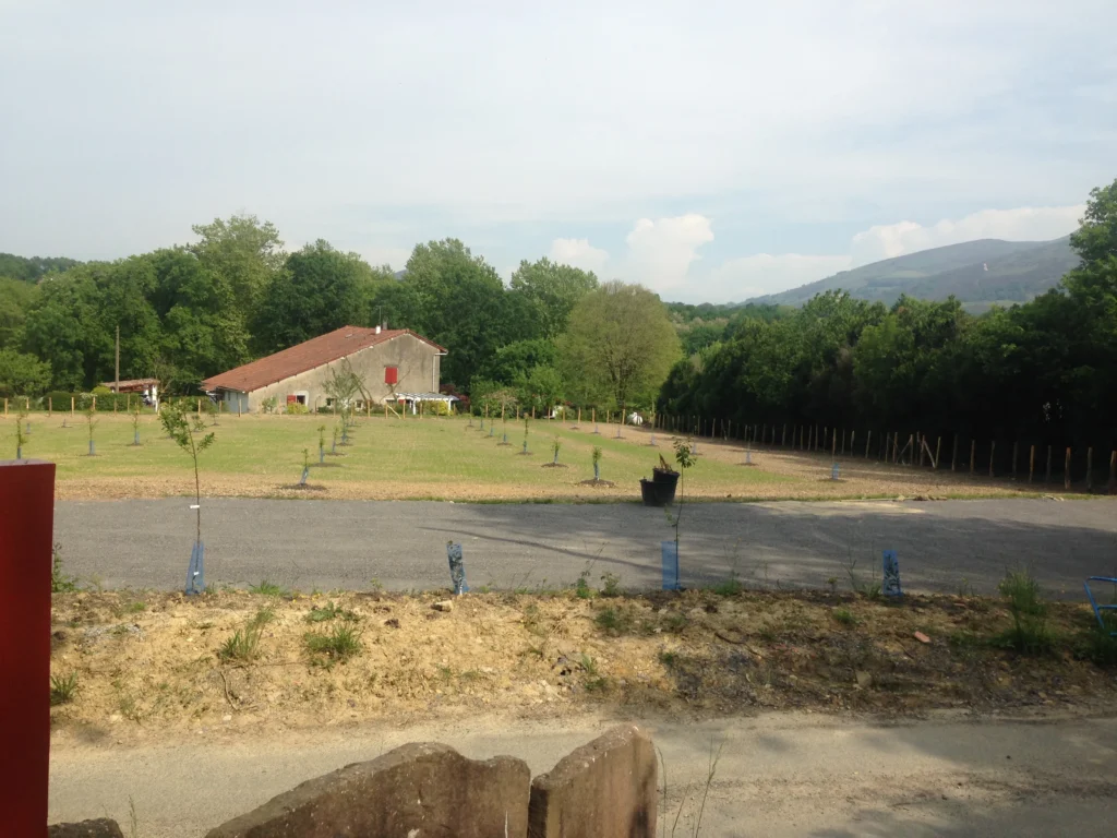 B2 Après nivellement et plantation