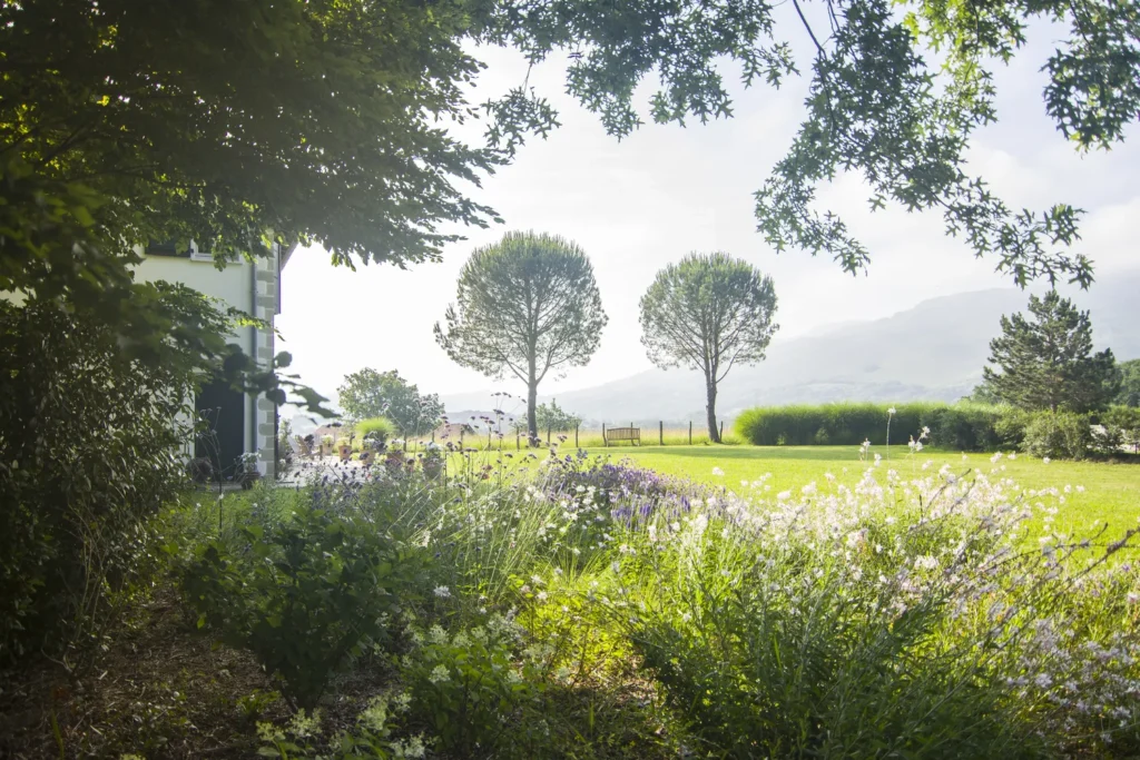 jardin paysager