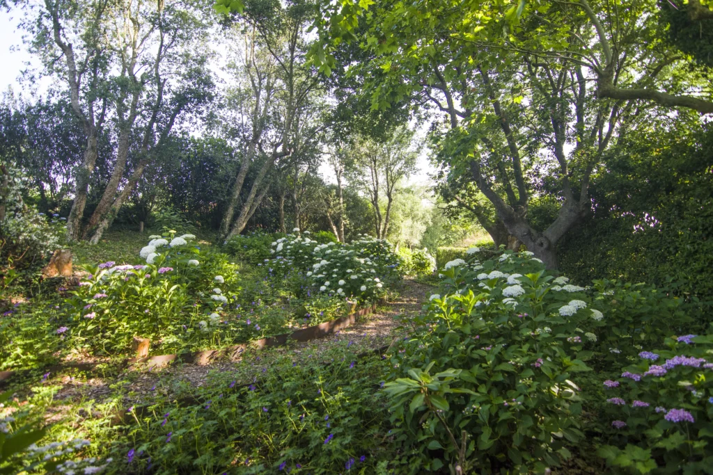 jardin d'ombre