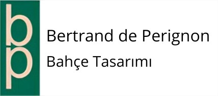 Bp logo tr