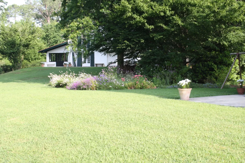 Img 1604