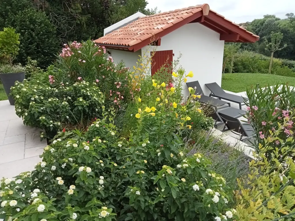 IMG20230704115149