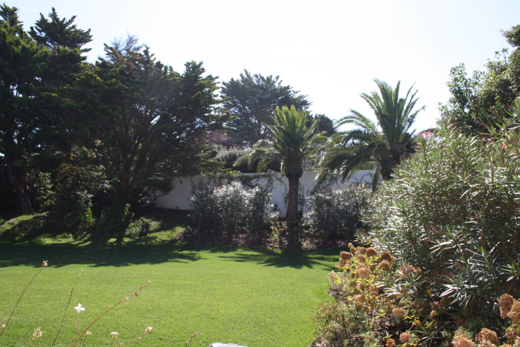 8 Côté sud après