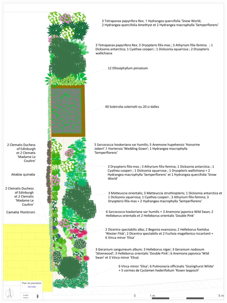 Esquisse 3 Plan de plantation